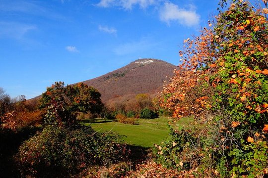 Tour image 1