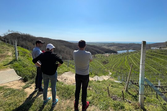 Tour image 4